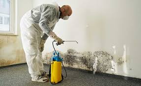 Best Mold Remediation for Healthcare Facilities  in Pinetop Country Clu, AZ