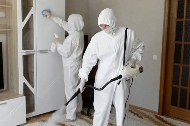 Best Mold Odor Removal Services  in Pinetop Country Clu, AZ